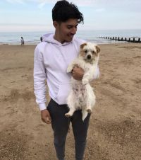 albertod22 albertod22