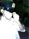 bxjay139269